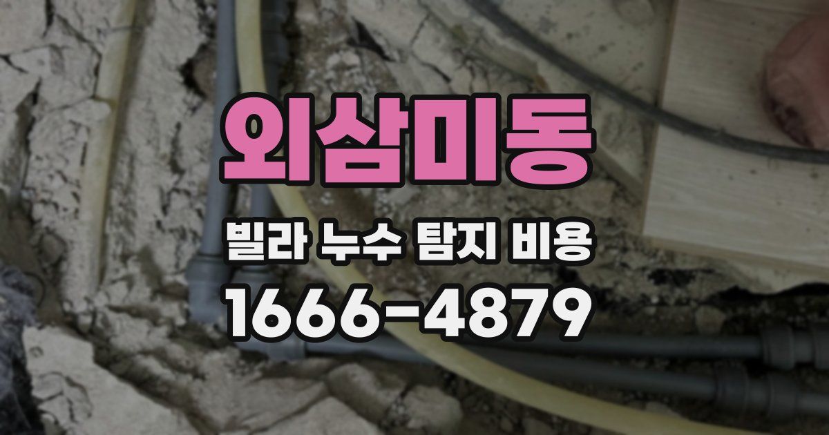 외삼미동 빌라 누수 탐지 비용