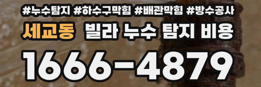 세교동 빌라 누수 탐지 비용