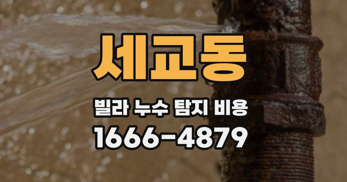 세교동 빌라 누수 탐지 비용