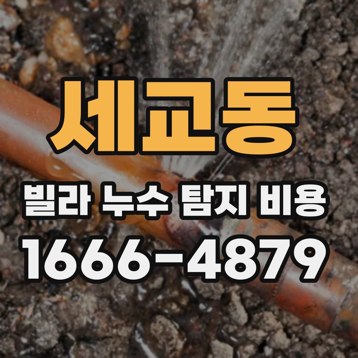 세교동 빌라 누수 탐지 비용