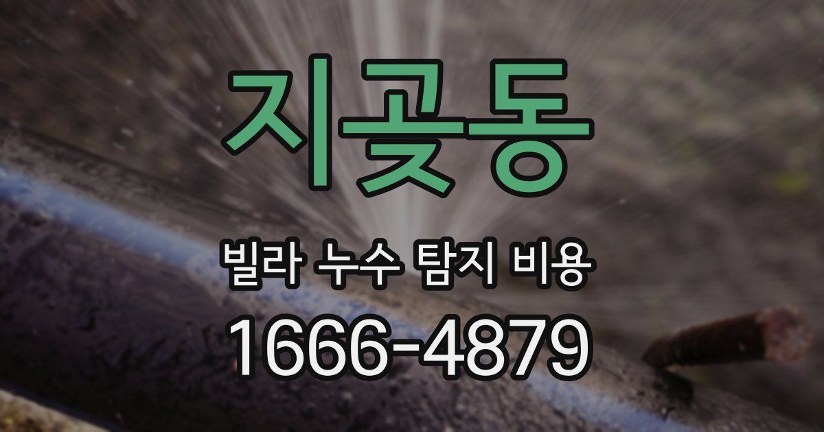 지곶동 빌라 누수 탐지 비용