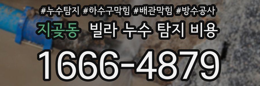 지곶동 빌라 누수 탐지 비용