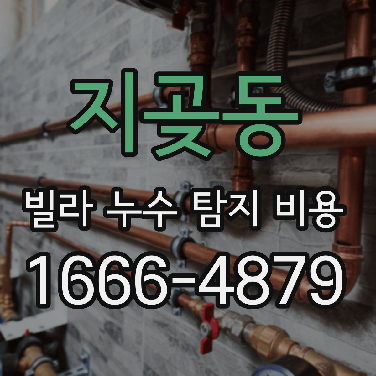 지곶동 빌라 누수 탐지 비용