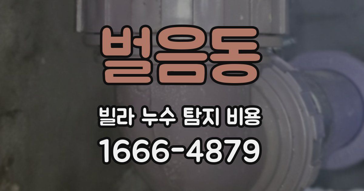벌음동 빌라 누수 탐지 비용