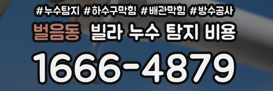 벌음동 빌라 누수 탐지 비용