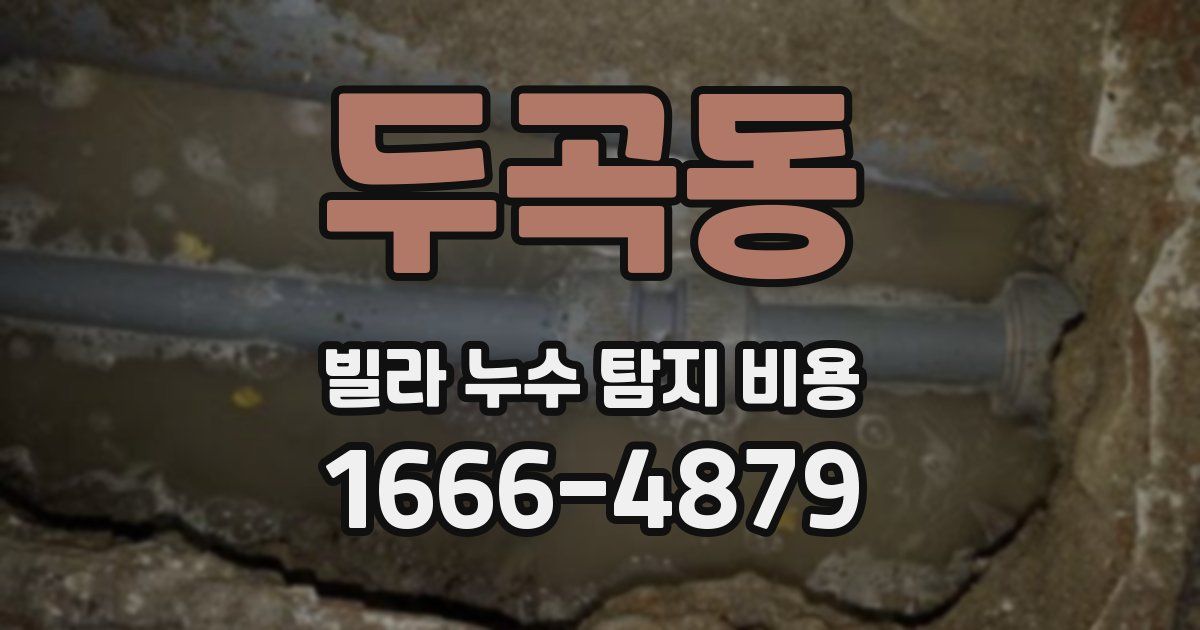 두곡동 빌라 누수 탐지 비용
