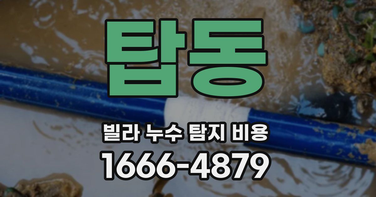 탑동 빌라 누수 탐지 비용
