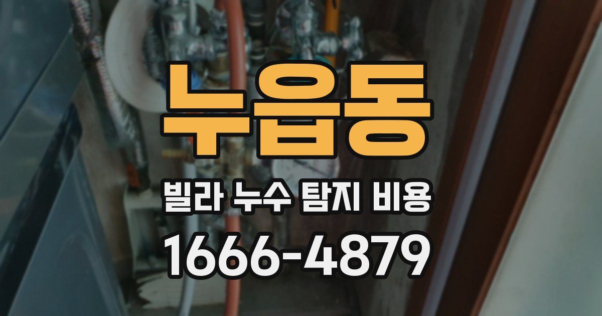 누읍동 빌라 누수 탐지 비용