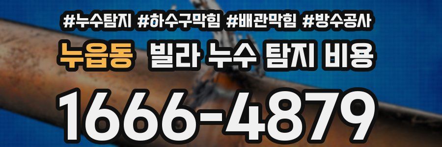 누읍동 빌라 누수 탐지 비용