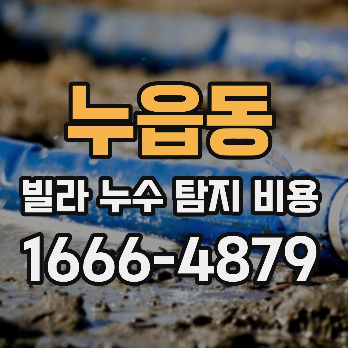 누읍동 빌라 누수 탐지 비용