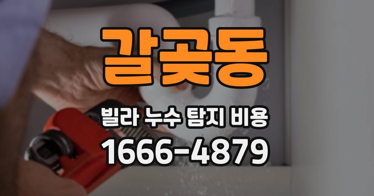 갈곶동 빌라 누수 탐지 비용