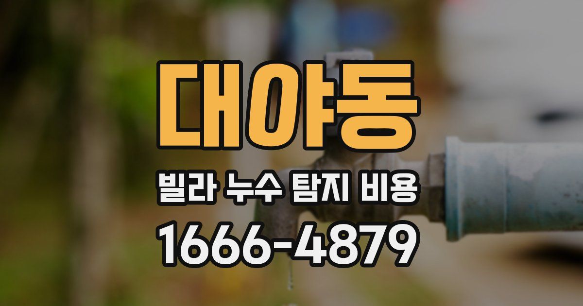대야동 빌라 누수 탐지 비용