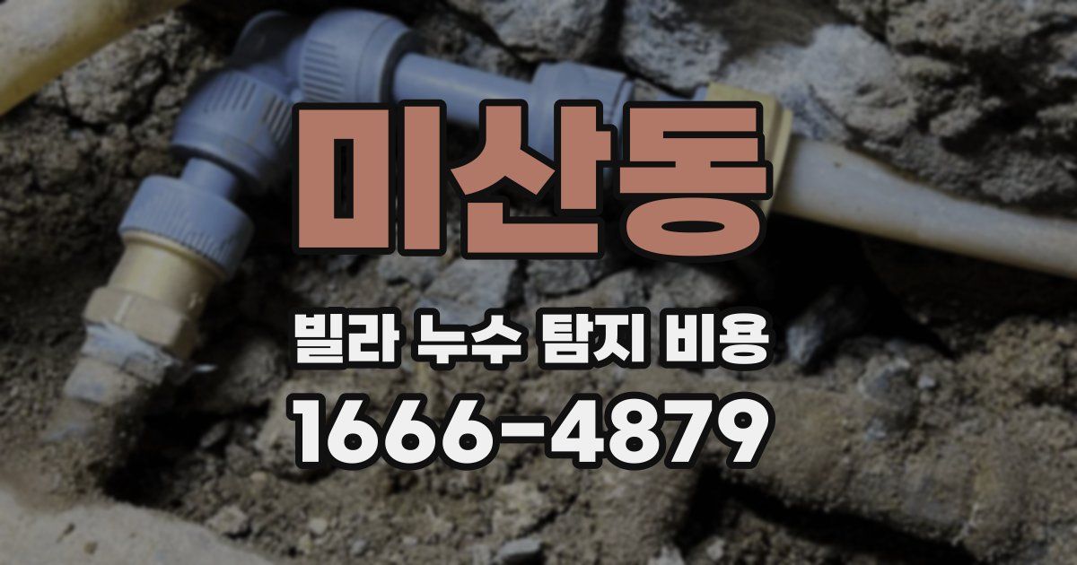 미산동 빌라 누수 탐지 비용