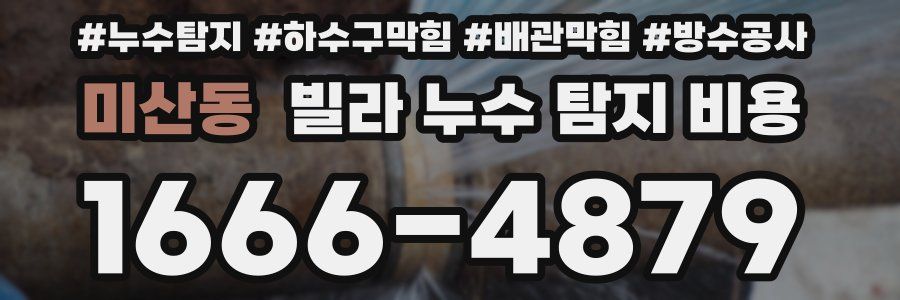 미산동 빌라 누수 탐지 비용