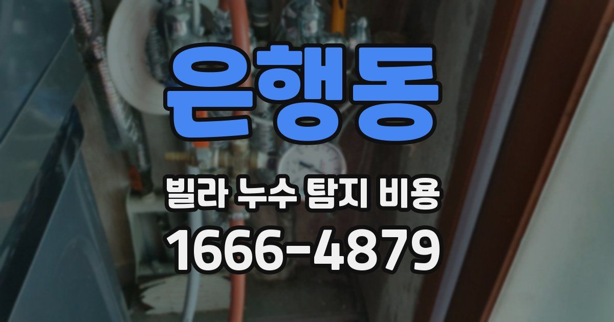 은행동 빌라 누수 탐지 비용