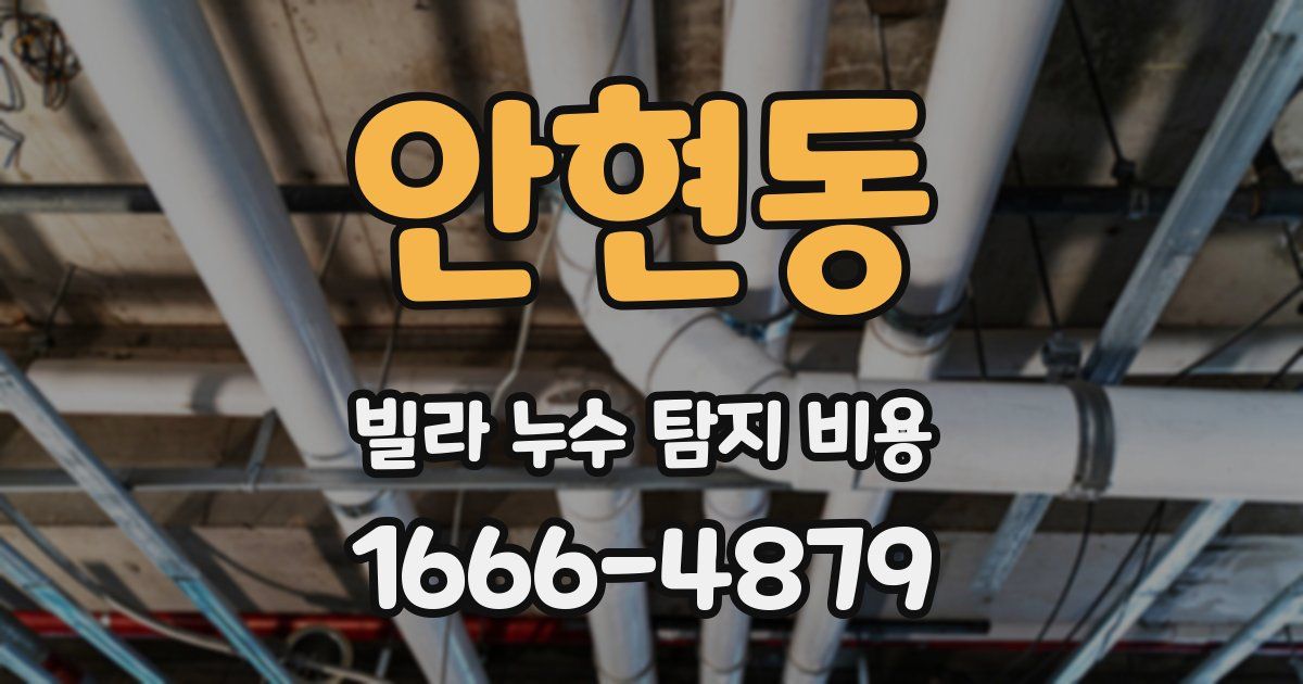 안현동 빌라 누수 탐지 비용