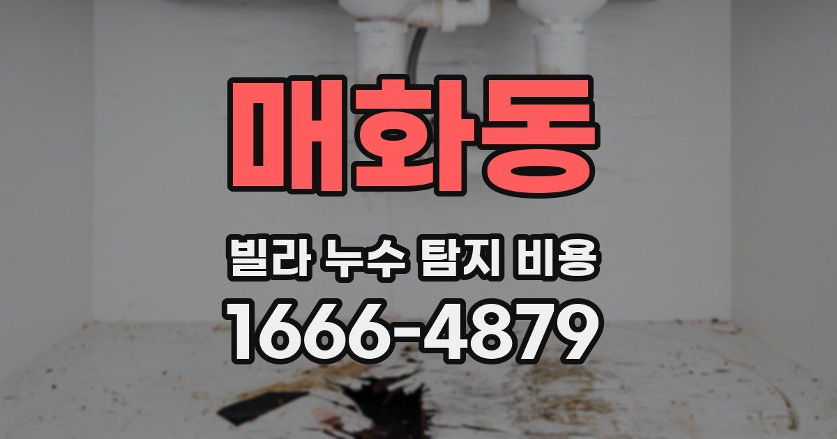 매화동 빌라 누수 탐지 비용