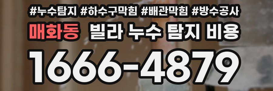 매화동 빌라 누수 탐지 비용