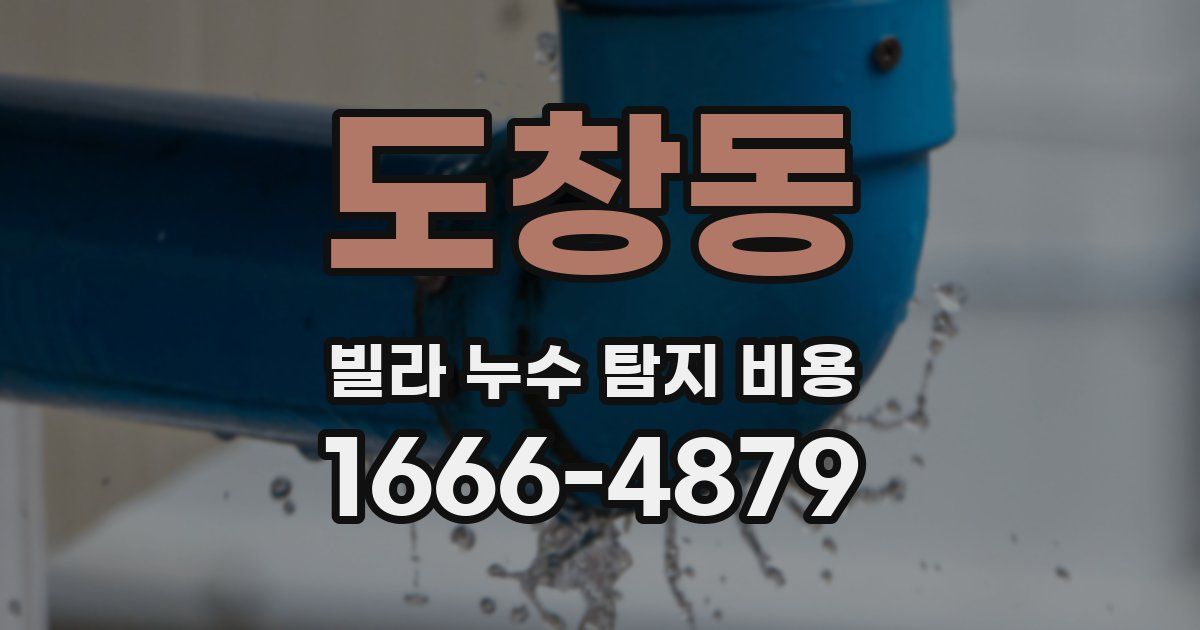 도창동 빌라 누수 탐지 비용