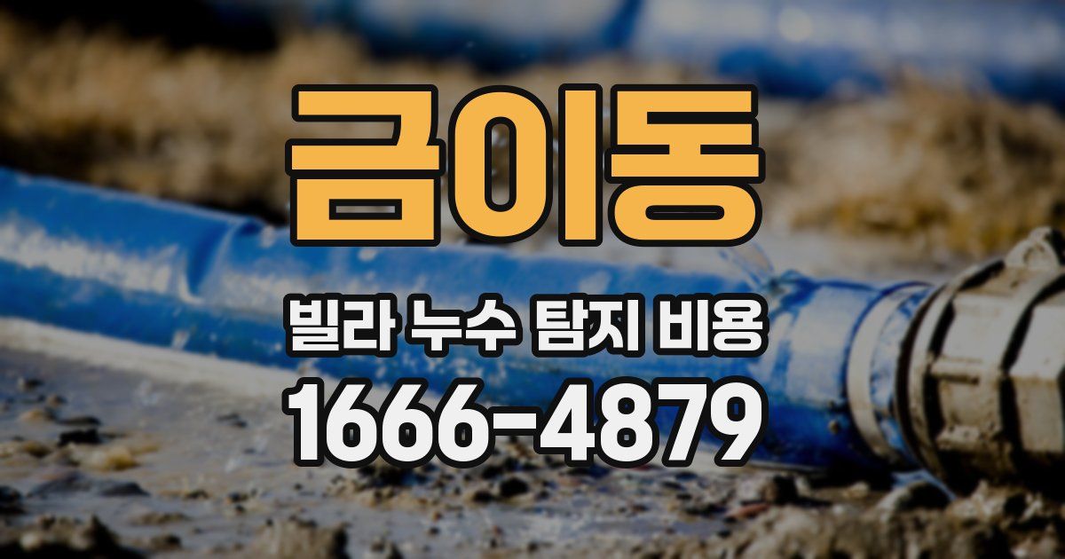 금이동 빌라 누수 탐지 비용