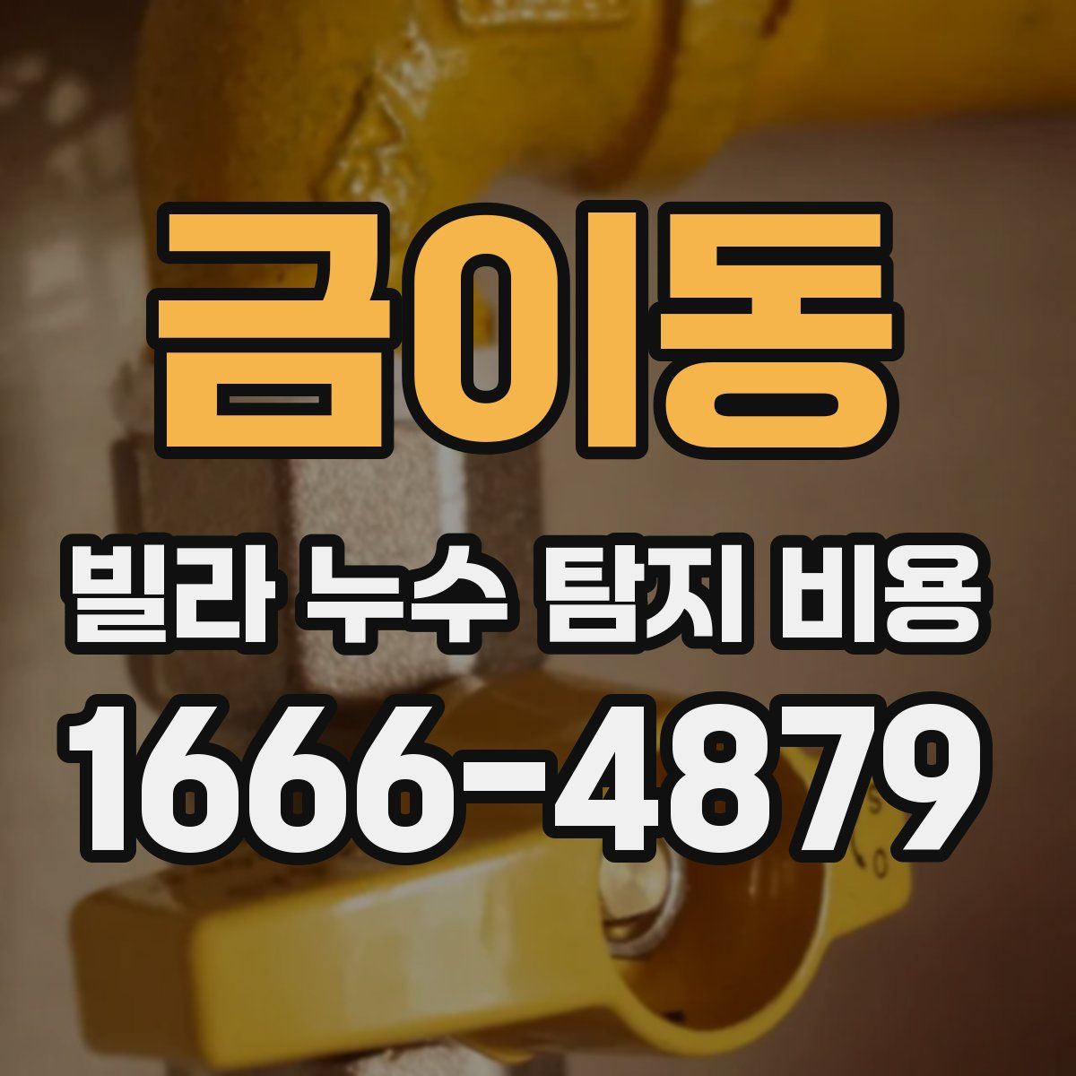 금이동 빌라 누수 탐지 비용