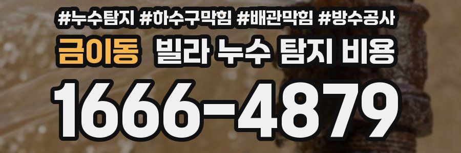 금이동 빌라 누수 탐지 비용