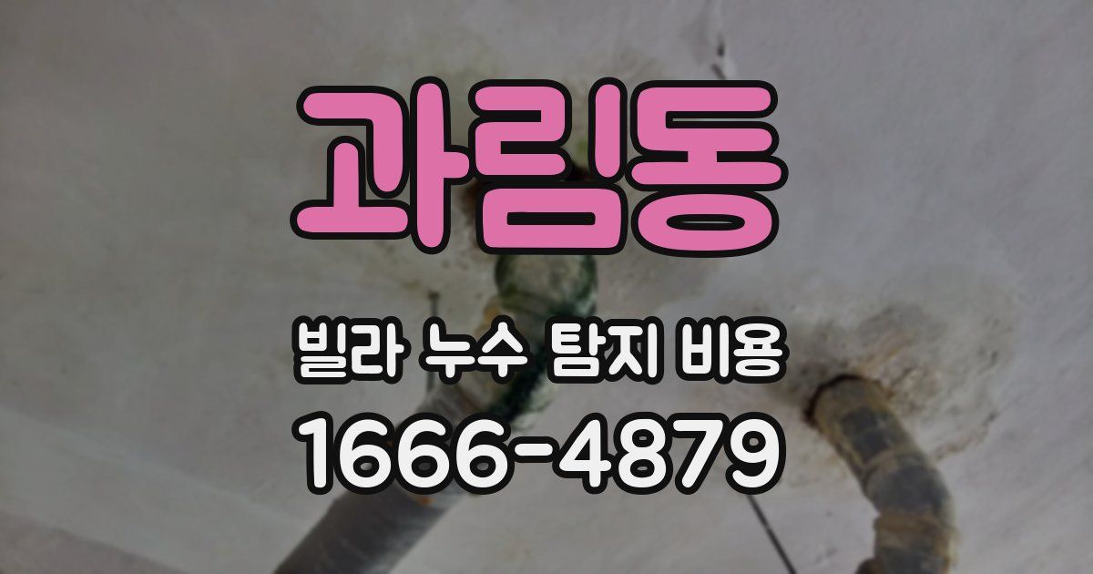 과림동 빌라 누수 탐지 비용