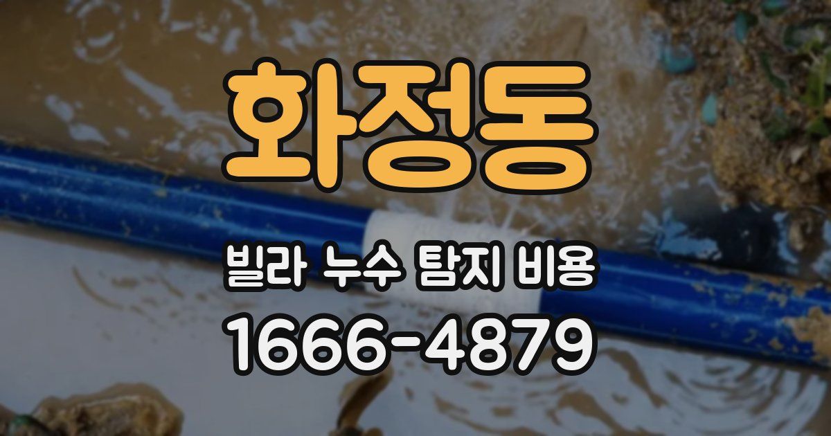 화정동 빌라 누수 탐지 비용
