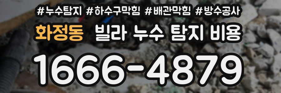화정동 빌라 누수 탐지 비용