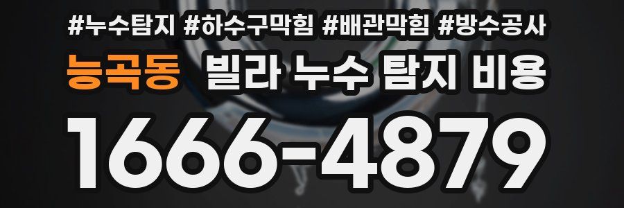 능곡동 빌라 누수 탐지 비용