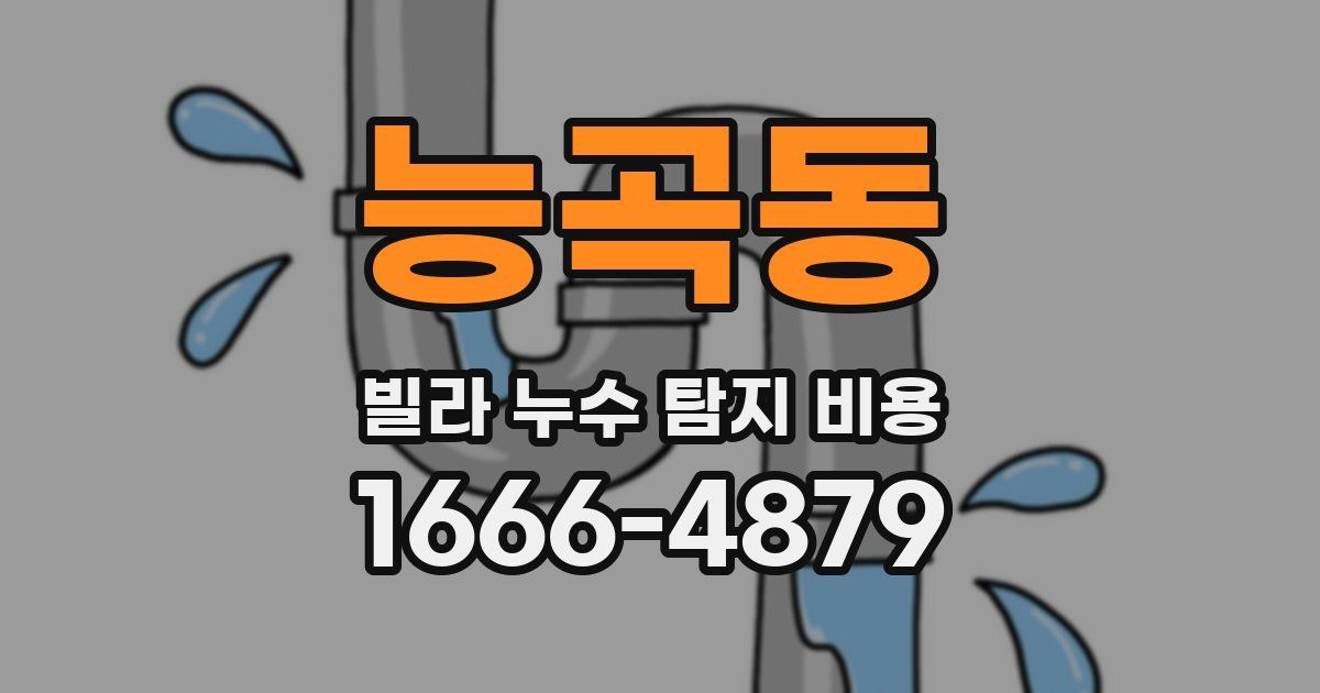 능곡동 빌라 누수 탐지 비용