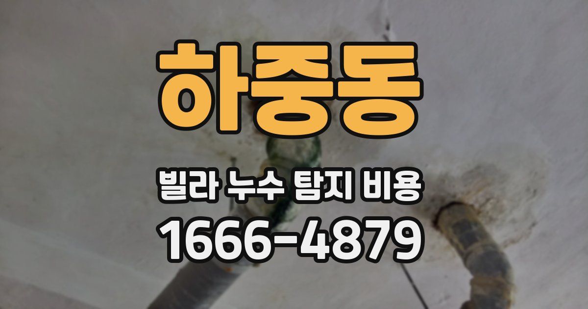 하중동 빌라 누수 탐지 비용