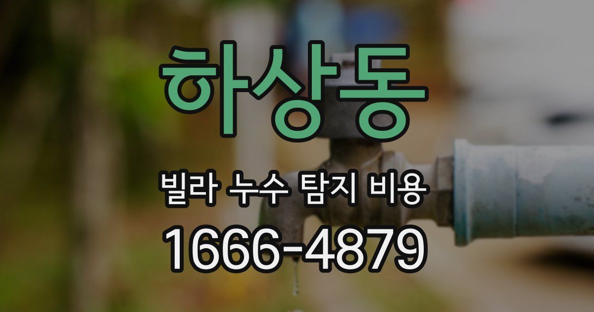 하상동 빌라 누수 탐지 비용