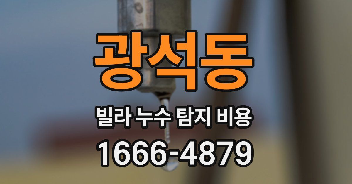 광석동 빌라 누수 탐지 비용
