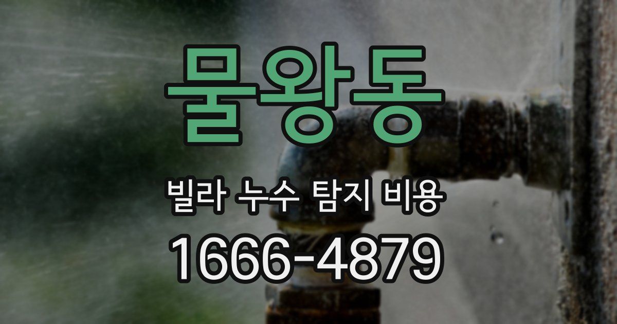 물왕동 빌라 누수 탐지 비용