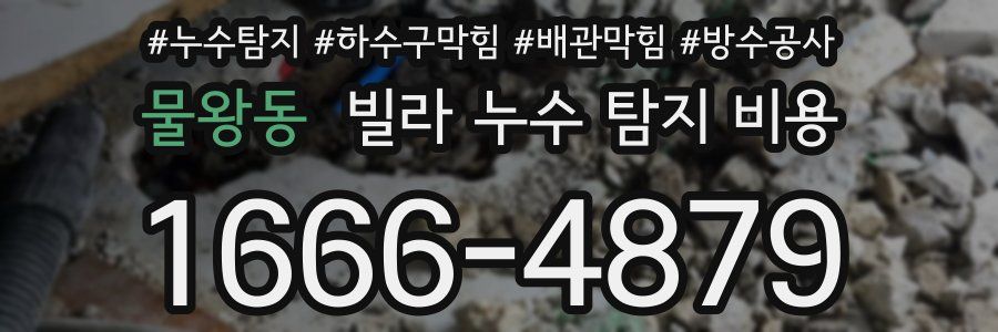 물왕동 빌라 누수 탐지 비용
