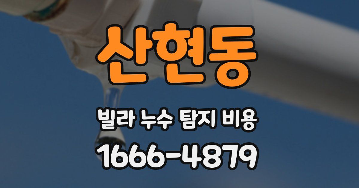 산현동 빌라 누수 탐지 비용