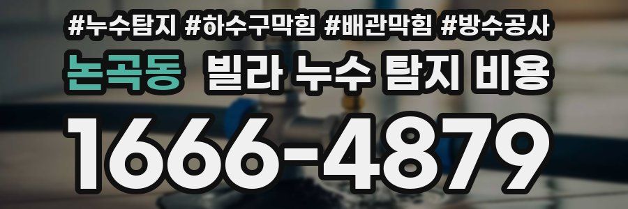 논곡동 빌라 누수 탐지 비용
