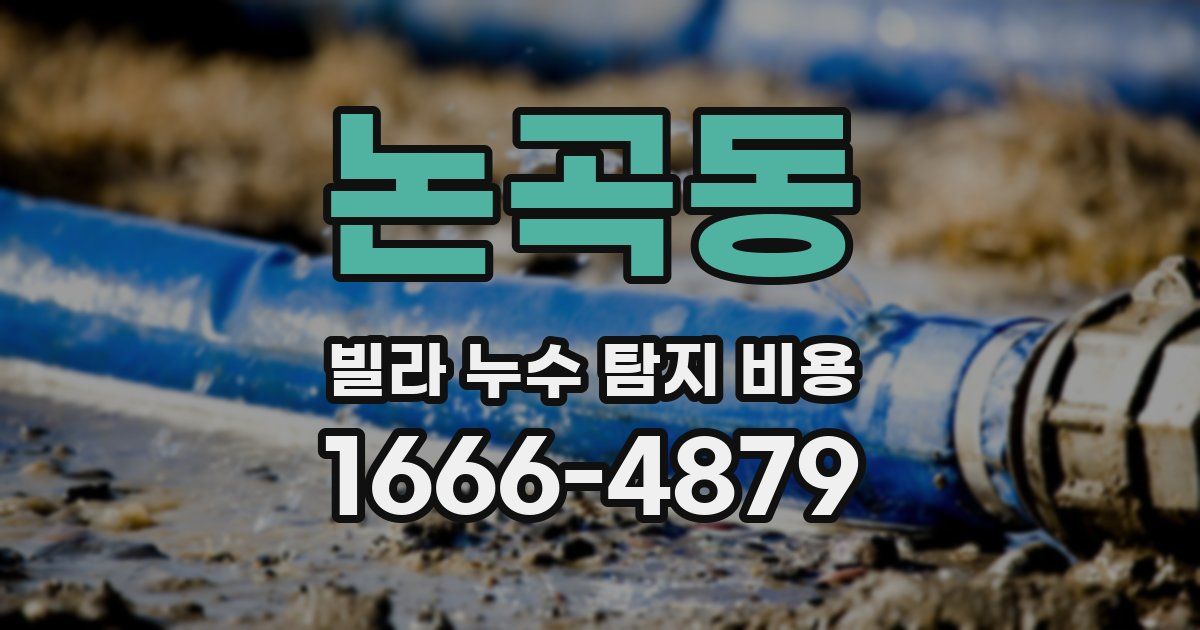논곡동 빌라 누수 탐지 비용