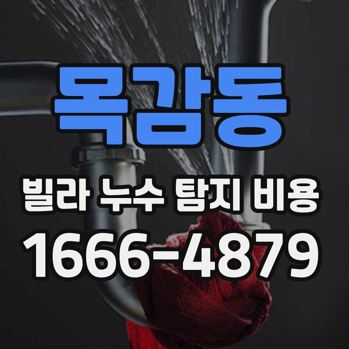 목감동 빌라 누수 탐지 비용