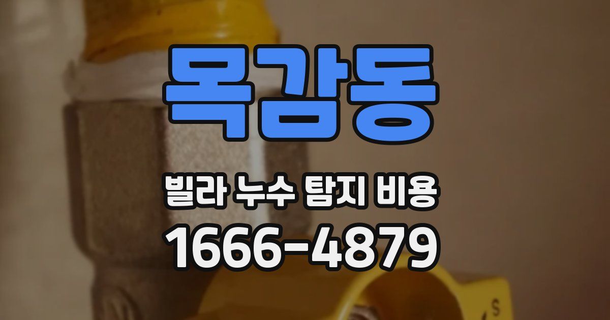 목감동 빌라 누수 탐지 비용