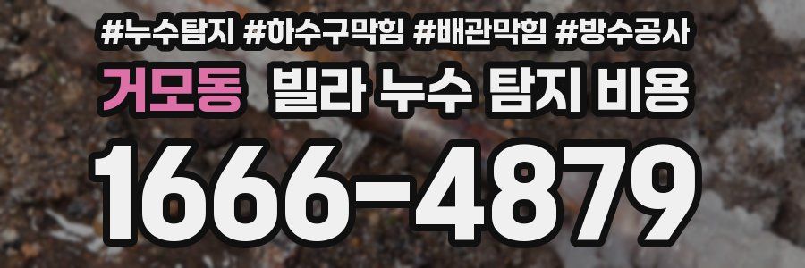 거모동 빌라 누수 탐지 비용