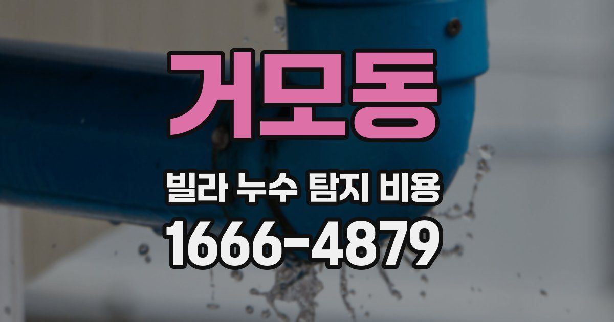 거모동 빌라 누수 탐지 비용