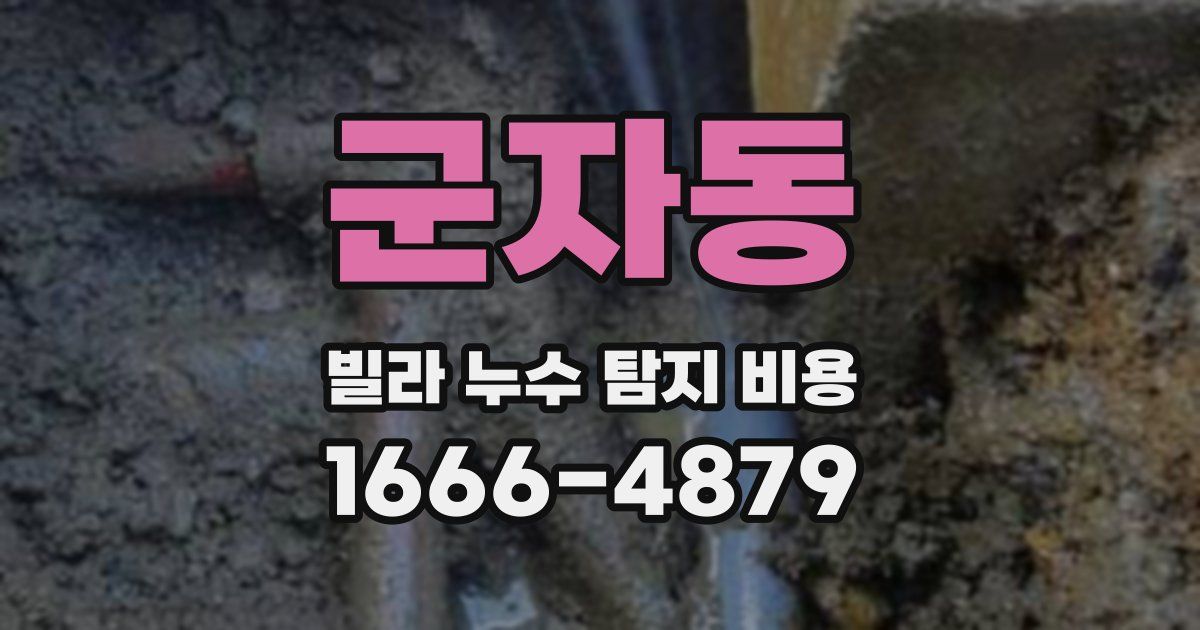 군자동 빌라 누수 탐지 비용