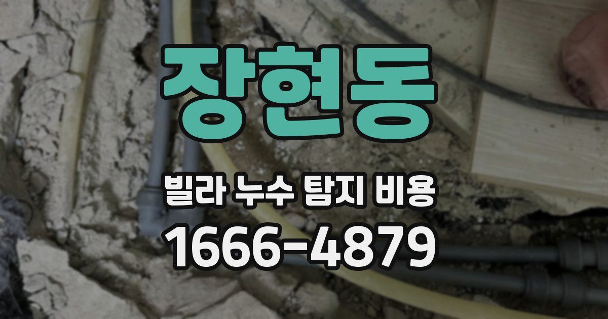 장현동 빌라 누수 탐지 비용