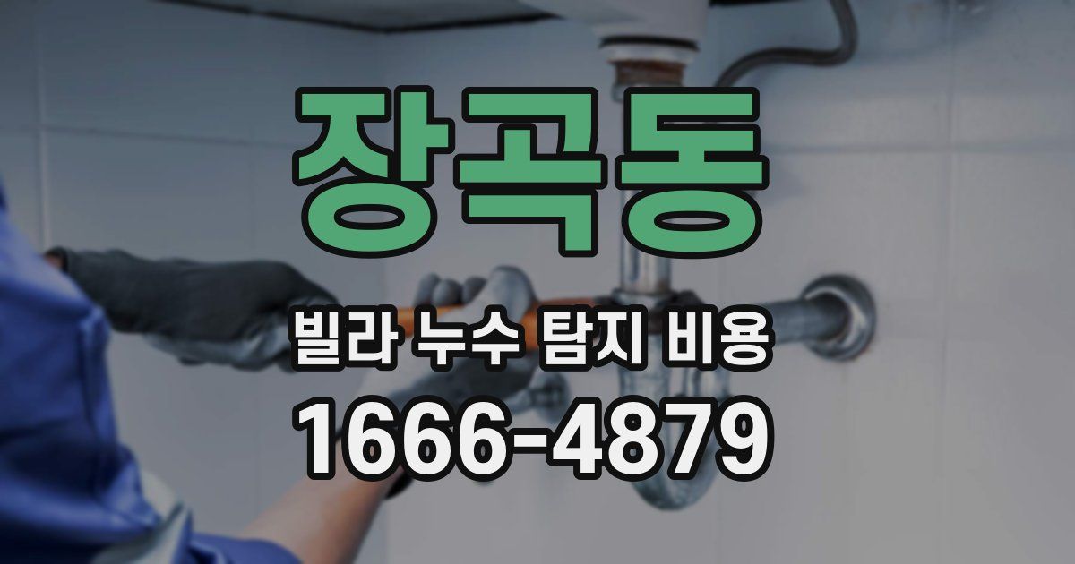 장곡동 빌라 누수 탐지 비용