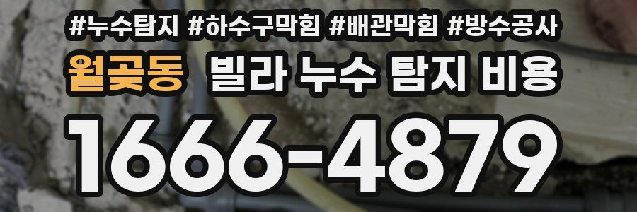 월곶동 빌라 누수 탐지 비용