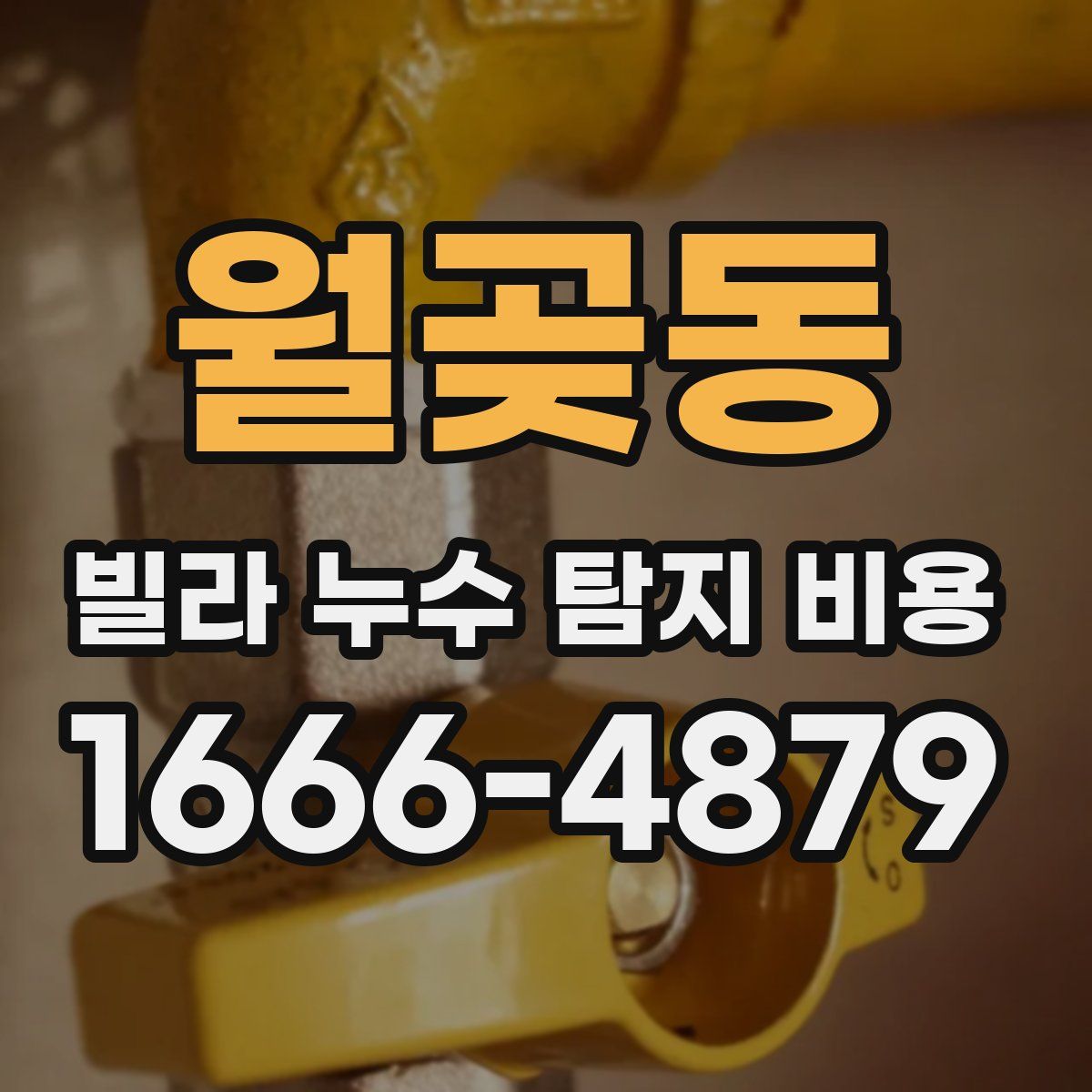 월곶동 빌라 누수 탐지 비용