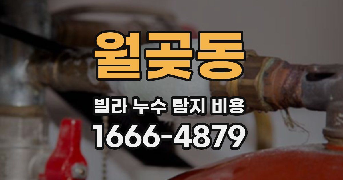 월곶동 빌라 누수 탐지 비용