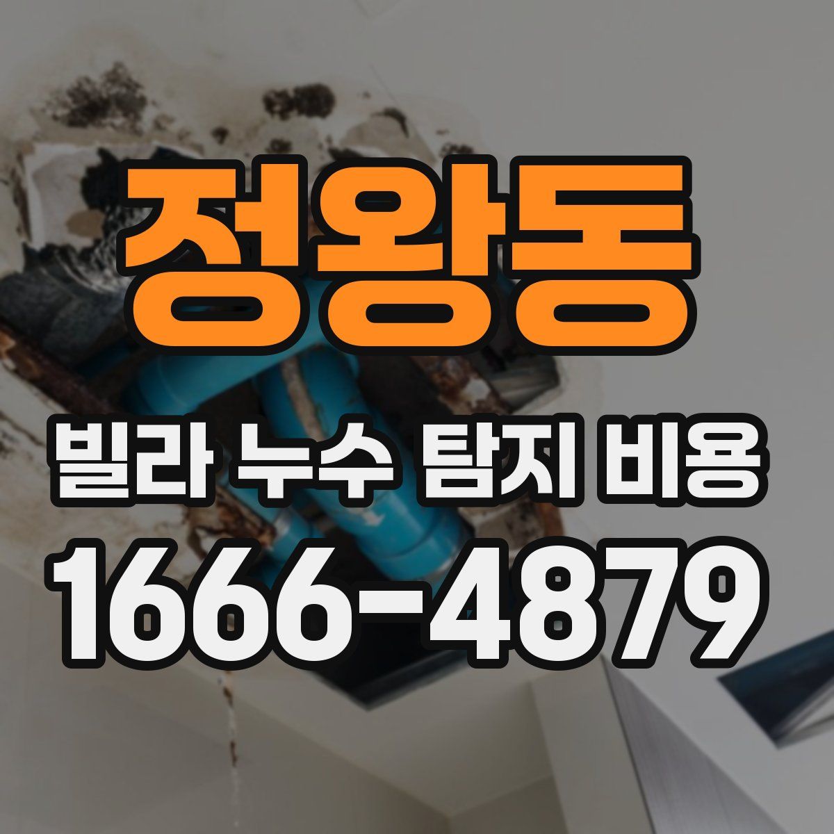 정왕동 빌라 누수 탐지 비용
